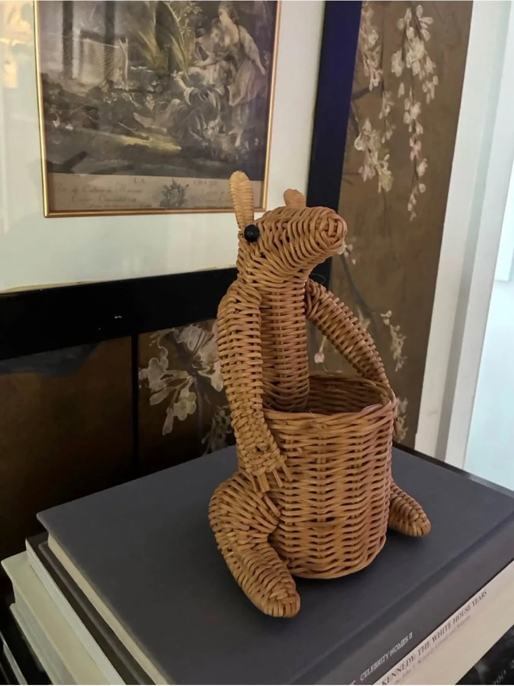N/A adorable rattan